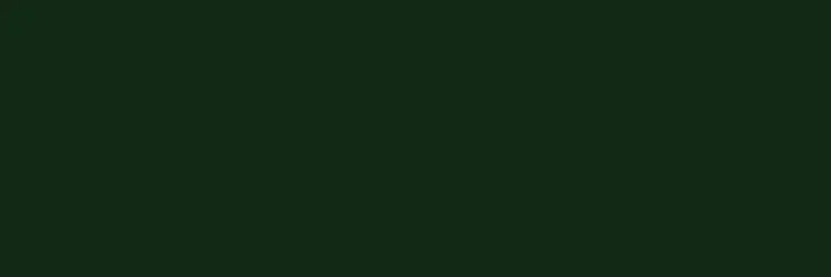 Solid dark green background, no visible jewelry or objects, suitable for elegant design themes.