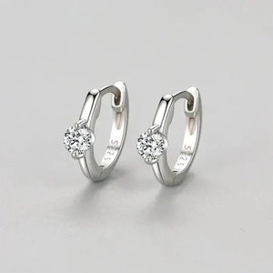 Crystal Elegance Zircon Earrings - TM & Co. Jewels