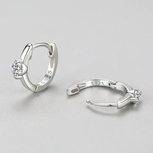 Crystal Elegance Zircon Earrings - TM & Co. Jewels