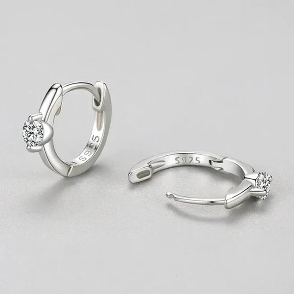 Crystal Elegance Zircon Earrings - TM & Co. Jewels