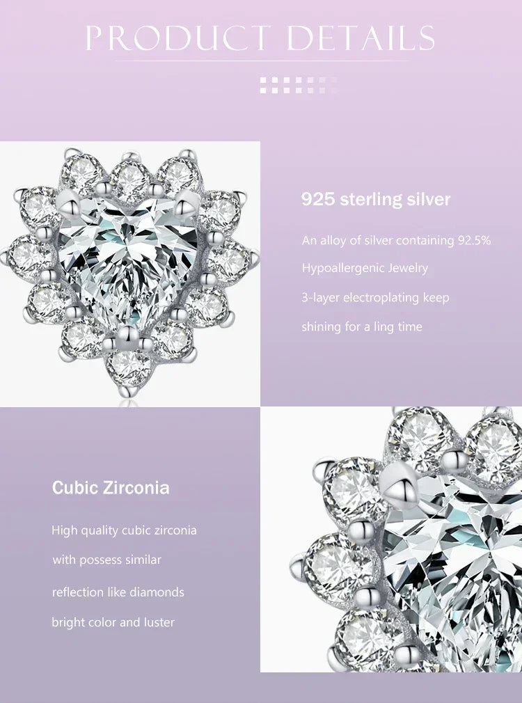 Romantic Heart Zircon Earrings - TM & Co. Jewels