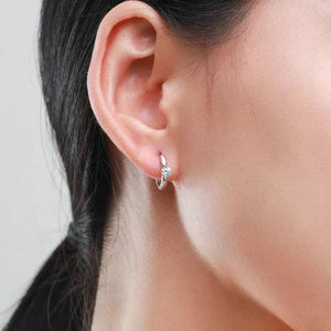 Crystal Elegance Zircon Earrings - TM & Co. Jewels