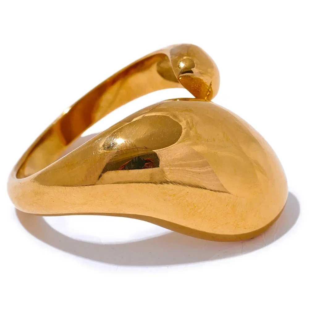 Myrrhine Stylish Gold Metal Ring - TM & Co. Jewels