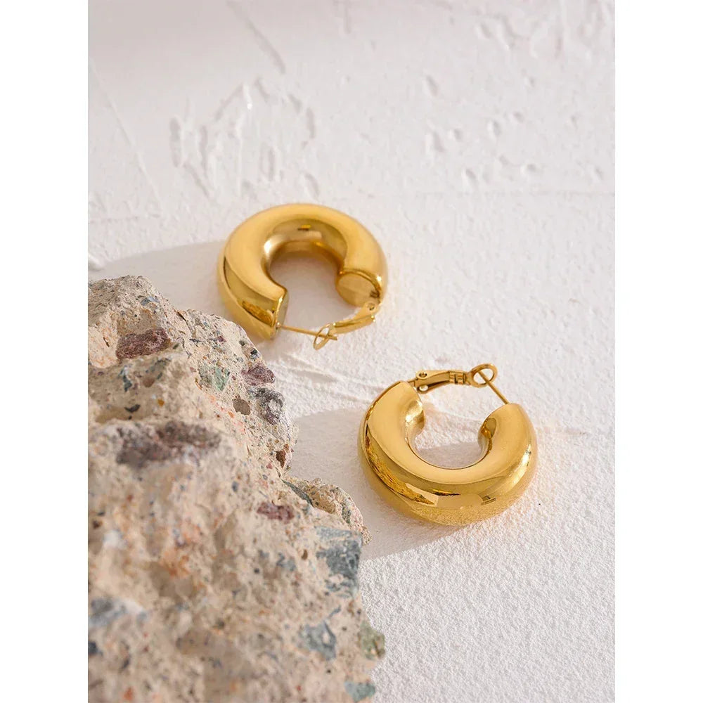 Chic Gold Hoop Earrings - TM & Co. Jewels